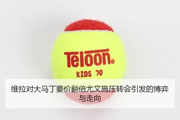 维拉对大马丁要价翻倍尤文施压转会引发的博弈与走向