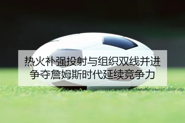 热火补强投射与组织双线并进 争夺詹姆斯时代延续竞争力